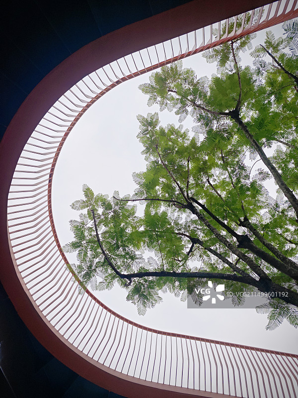 坐井观天图片素材