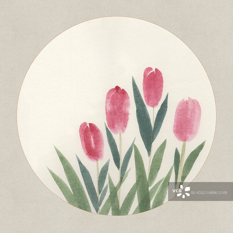 郁金香国画插画图片素材