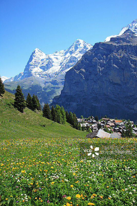 旅行，地理，自然，瑞士阿尔卑斯山，少女峰，欧洲，瑞士，伯尔尼，伯尔尼高地，米伦，山脉，雪，草地图片素材