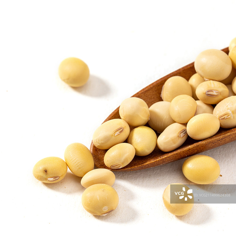 大白豆，黄豆图片素材