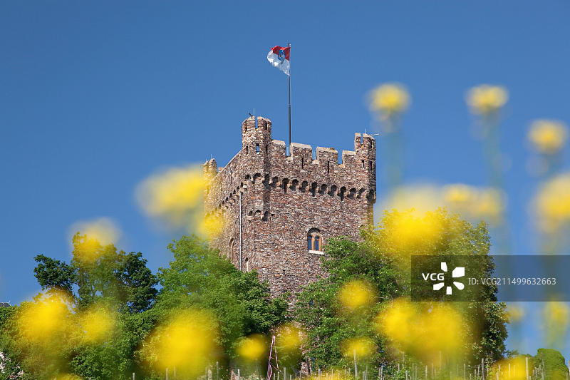 德国莱茵兰-普法尔茨宾根莱茵河畔克洛普城堡图片素材