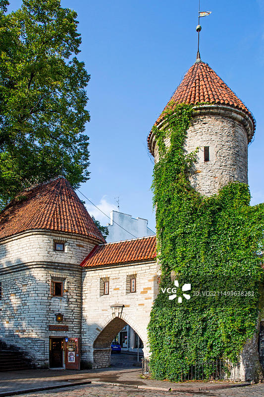 爱沙尼亚塔林老城维鲁门图片素材