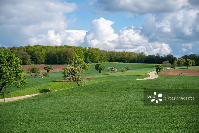 德国巴登-符腾堡州莫斯巴赫明信片图片素材