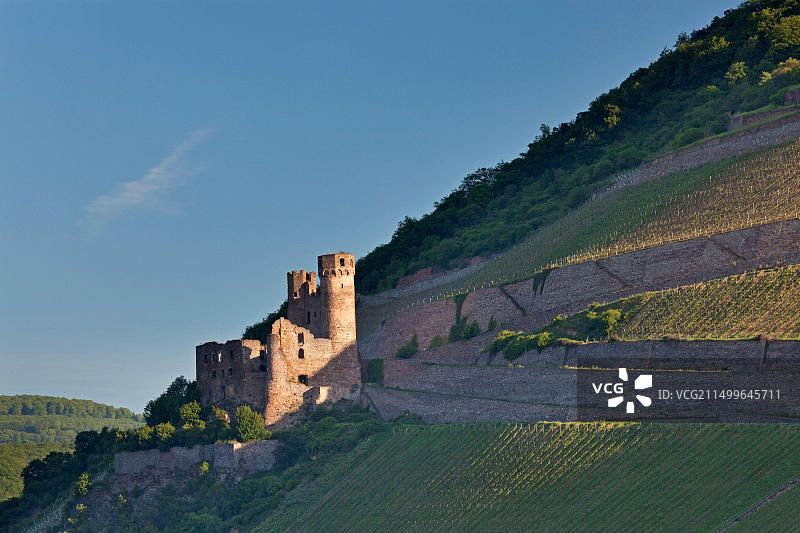 德国莱茵河畔宾根埃伦费尔斯城堡图片素材