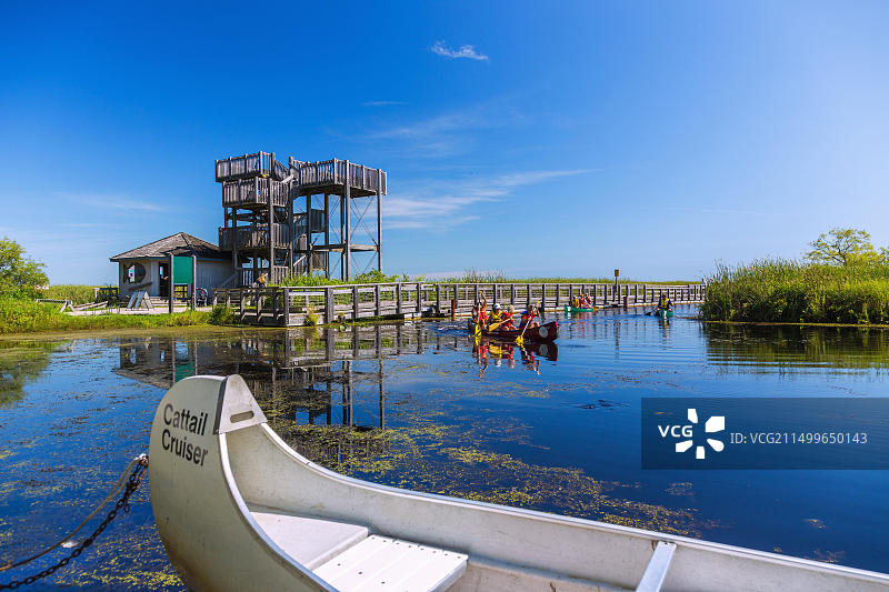 加拿大皮利角国家公园沼泽木板路与瞭望塔图片素材