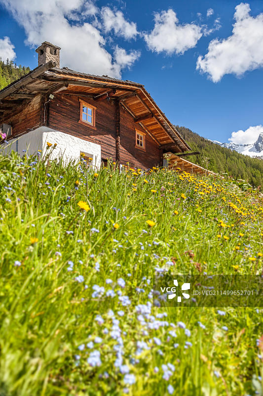 意大利南蒂罗尔克劳斯山附近的小屋和高山草甸风光图片素材