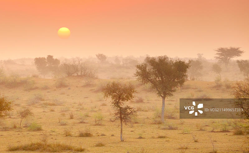 印度斋沙默尔附近塔尔沙漠日出图片素材