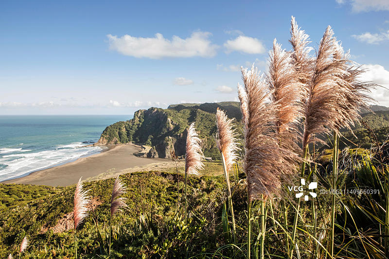 新西兰奥克兰怀塔科里山脉和卡雷卡雷海滩风光图片素材