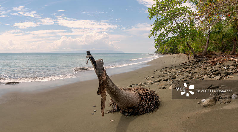 哥斯达黎加科尔科瓦多国家公园海滩图片素材