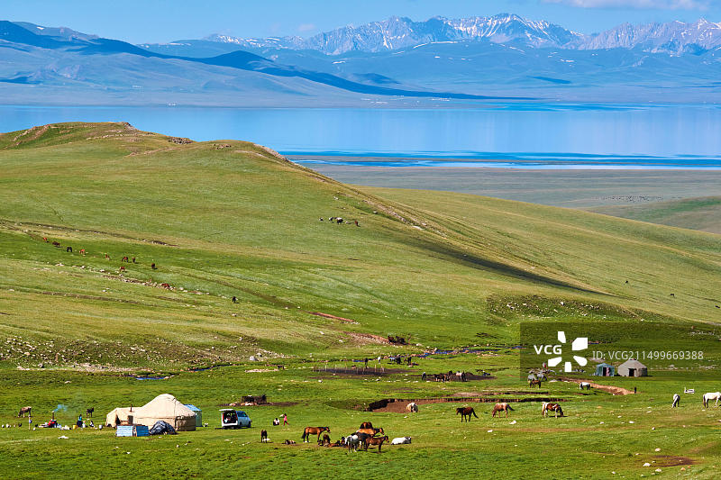 吉尔吉斯斯坦纳伦州宋科尔湖吉尔吉斯游牧民族的蒙古包营地图片素材