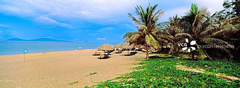 越南广南省会安古岱海滩的遮阳伞和棕榈树图片素材