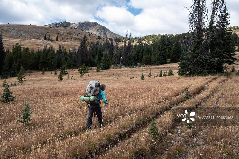 华盛顿州：女子在帕赛腾荒野奥卡诺根-韦纳奇国家森林边界步道533号附近，绵羊山旁背包旅行图片素材