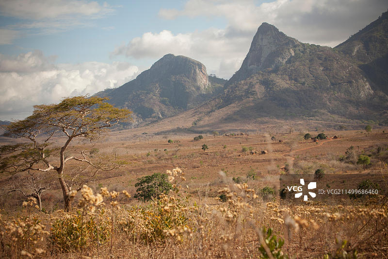 坦桑尼亚多多马的景观：乌卡古鲁山脉和金合欢树图片素材