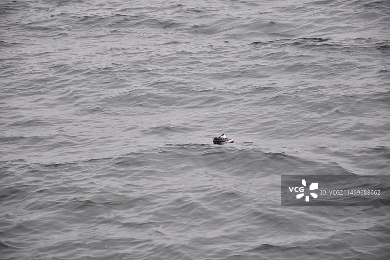 刚果旅游图片素材