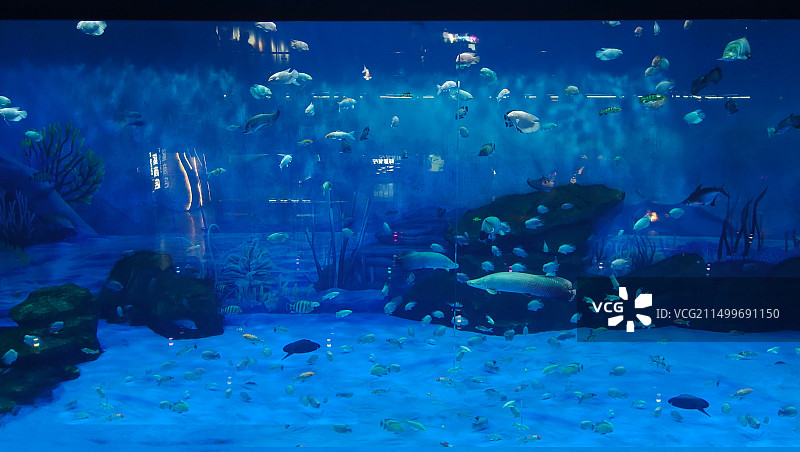 宁波海洋世界图片素材