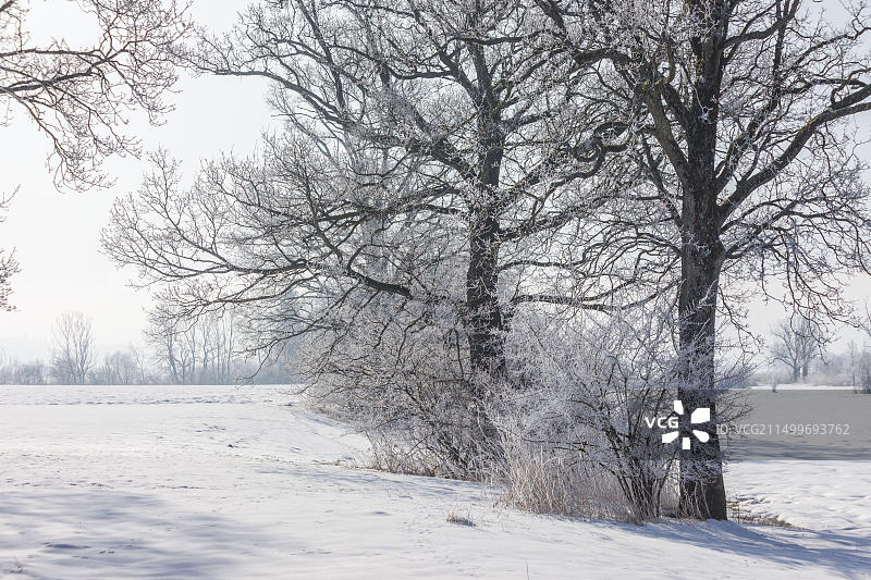 德国巴伐利亚基明基姆湖风光图片素材