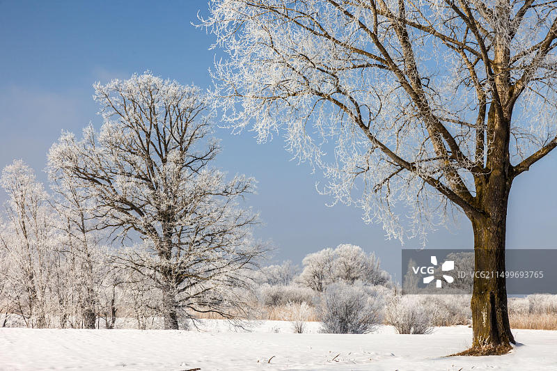 德国巴伐利亚基明基姆湖风光图片素材