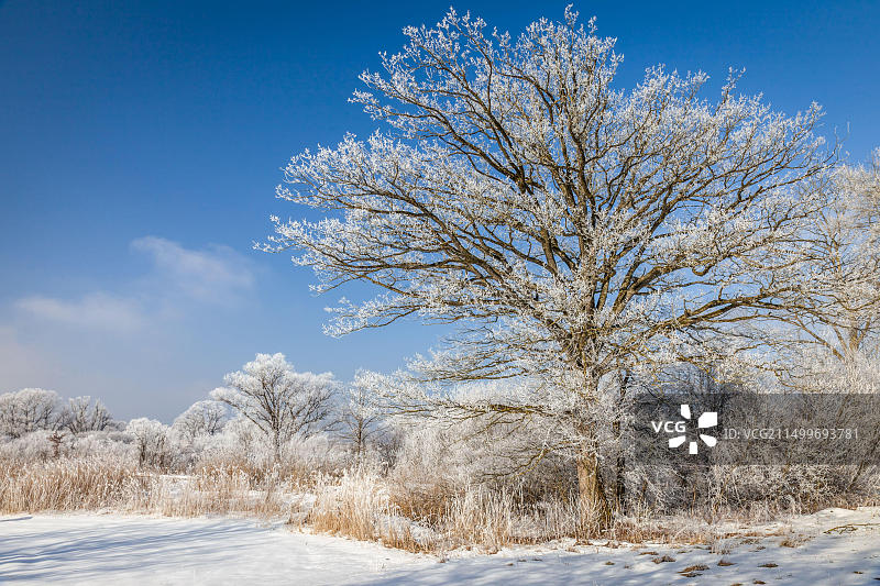 德国巴伐利亚基明基姆湖风光图片素材