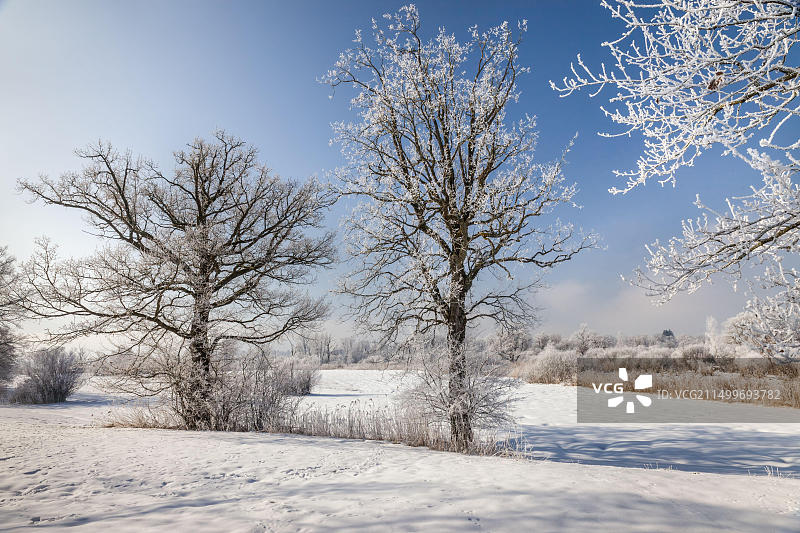 德国巴伐利亚基明基姆湖风光图片素材