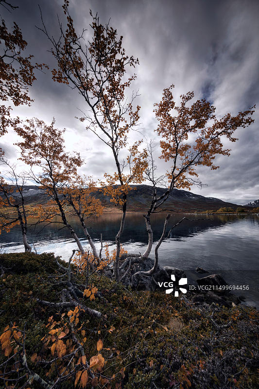 挪威因达伦风光图片素材
