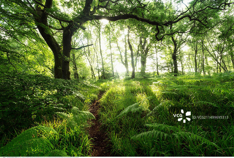 英国苏格兰格拉斯哥夏季风光图片素材