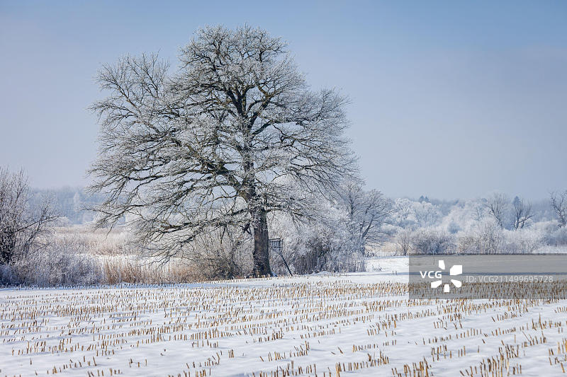 德国巴伐利亚基明基姆湖风光图片素材