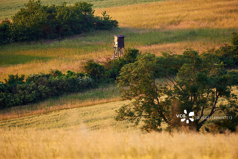 奥地利恩泽斯费尔德夏季风光图片素材