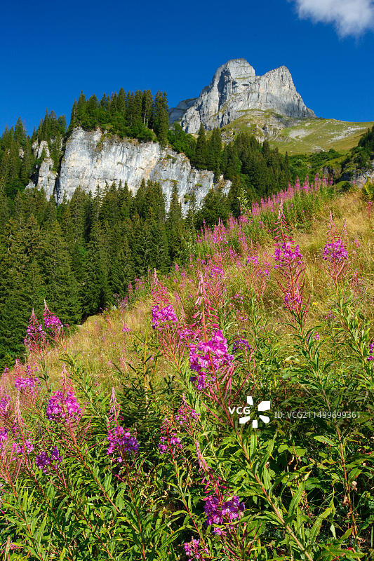 瑞士格拉鲁斯Eggstock山峰图片素材