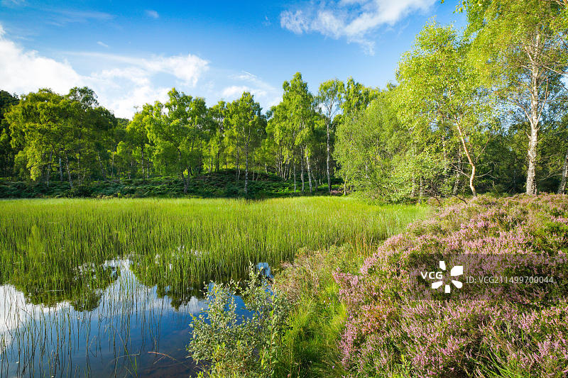 英国苏格兰风光图片素材