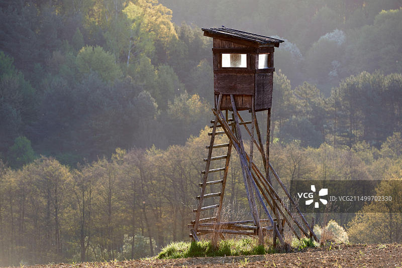 奥地利石墓：田野里的鹿群图片素材