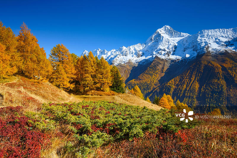 瑞士比奇峰风光图片素材