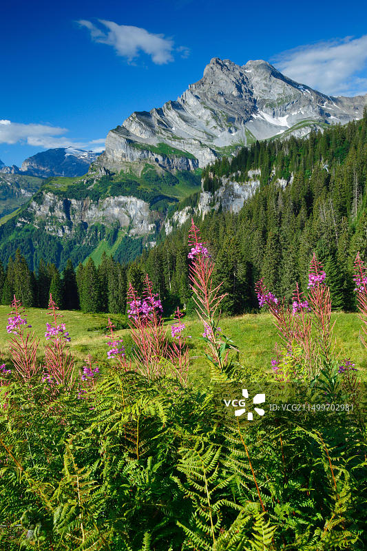 瑞士格拉鲁斯州Ortstock和Toedi山峰风光图片素材