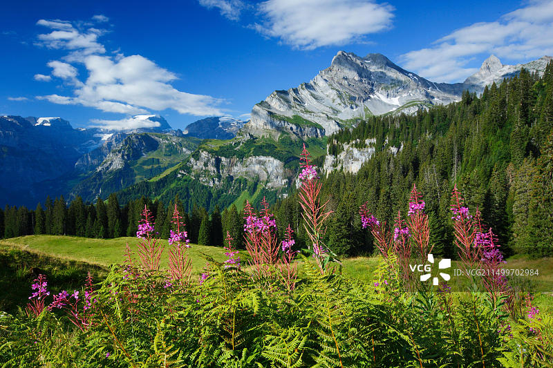 瑞士格拉鲁斯州Ortstock和Toedi山峰风光图片素材