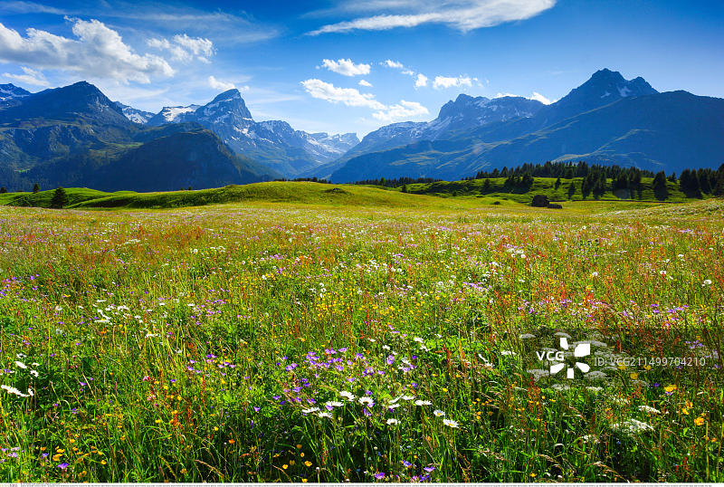 瑞士Flix梦魇图片素材