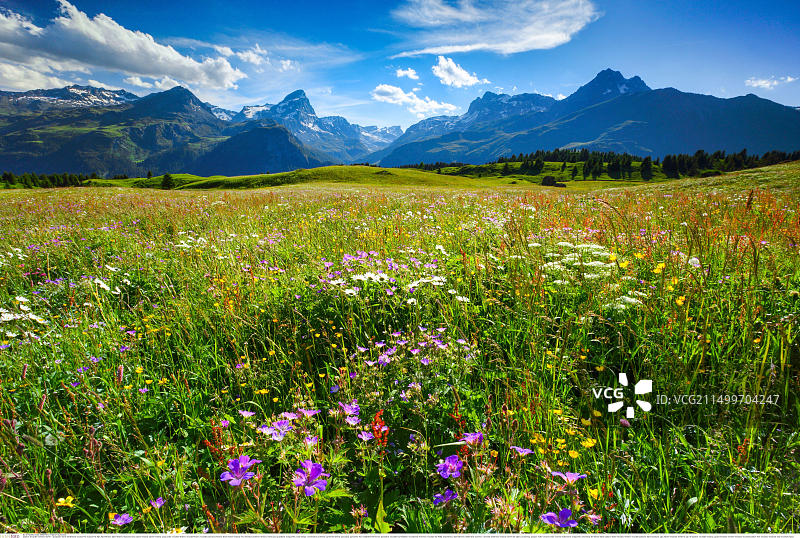 瑞士Flix梦魇图片素材