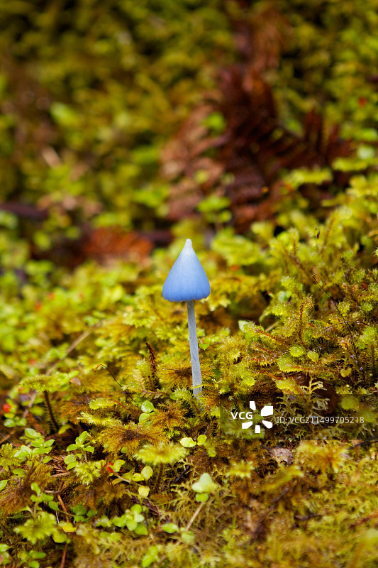 新西兰马瑟森湖旅游图片素材