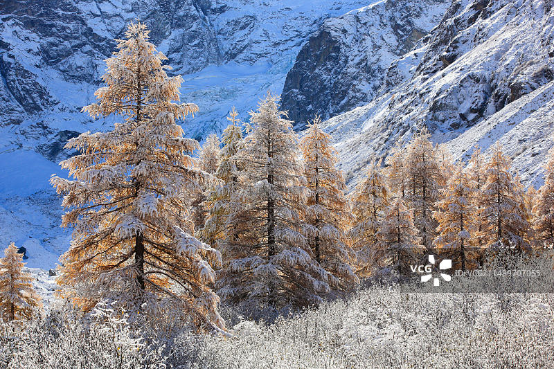 瑞士瓦莱州阿罗拉山谷风光图片素材