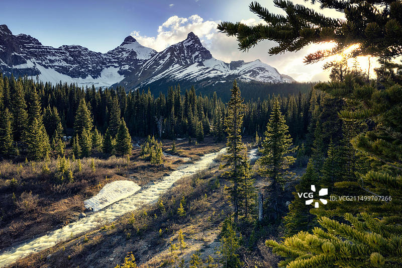 加拿大贾斯珀国家公园阿塔巴斯卡风光图片素材