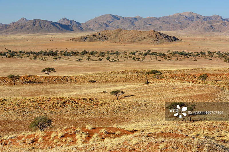 纳米比亚羚羊国家公园风光图片素材