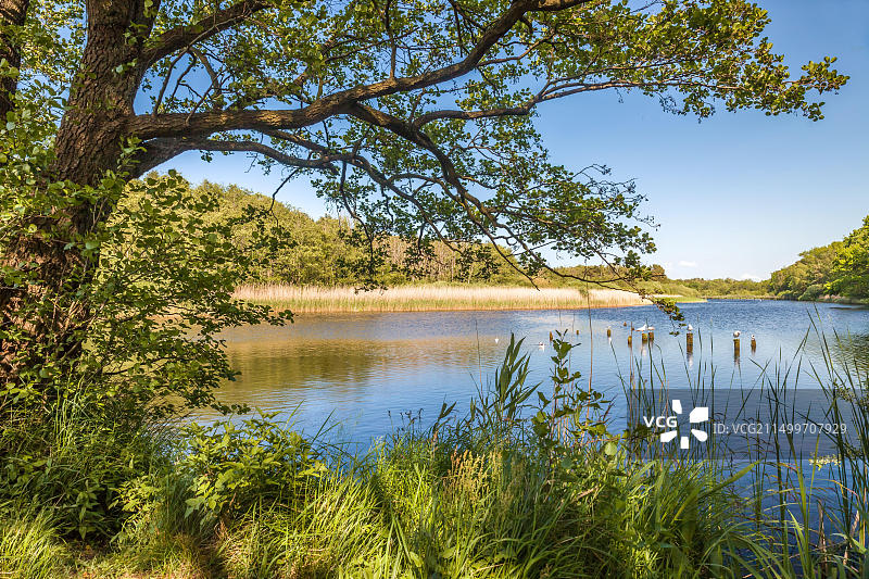德国青斯特的潟湖景观图片素材