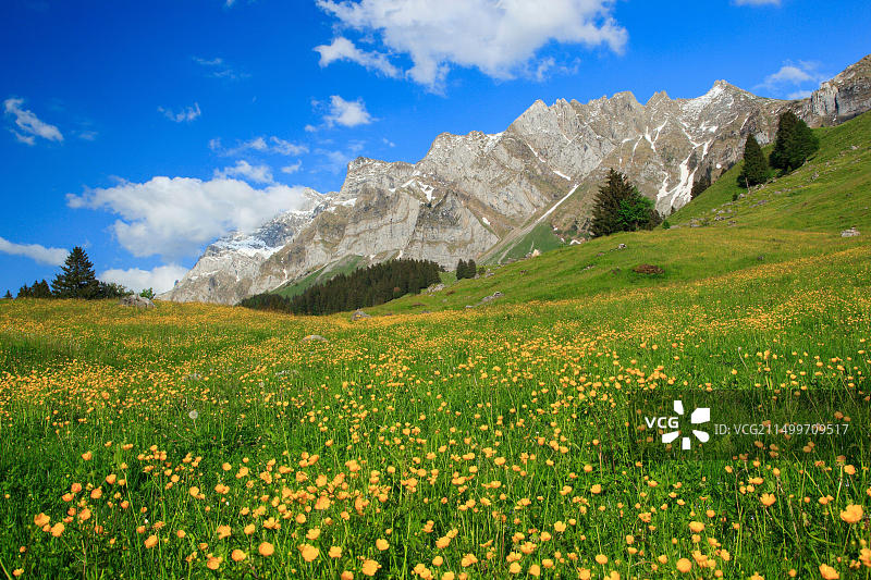 瑞士阿尔卑斯坦山脉森蒂斯峰风光图片素材