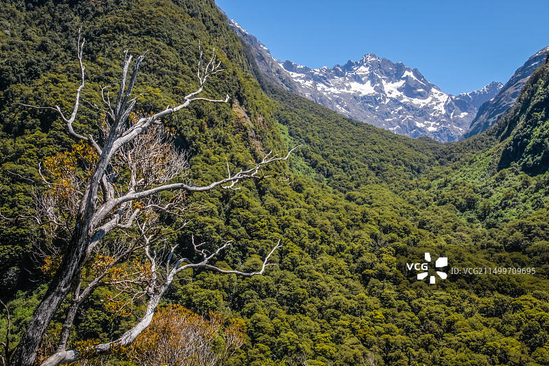 新西兰南岛米尔福德公路霍利福德山谷瞭望台图片素材