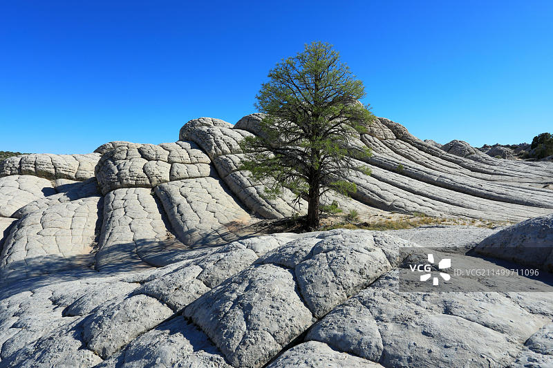 美国亚利桑那州朱红悬崖国家纪念碑白口袋大脑岩地貌图片素材