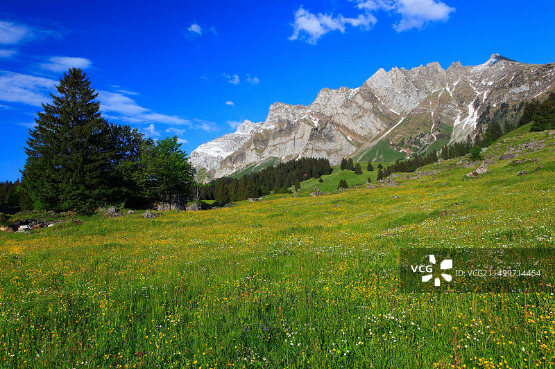 瑞士阿尔卑斯坦山脉森蒂斯峰风光图片素材