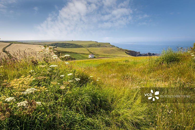 英国德文郡哈特兰角海岸风光图片素材