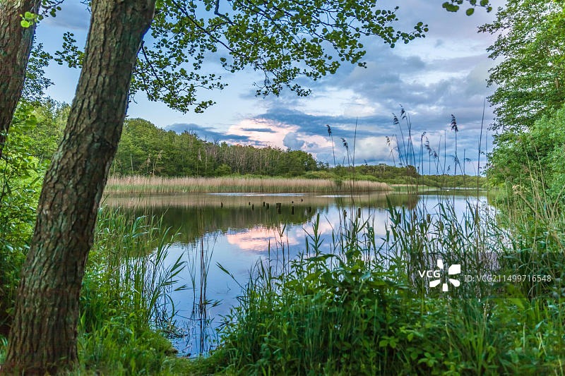 德国梅克伦堡-前波美拉尼亚州津斯特普雷罗夫附近的潟湖景观图片素材
