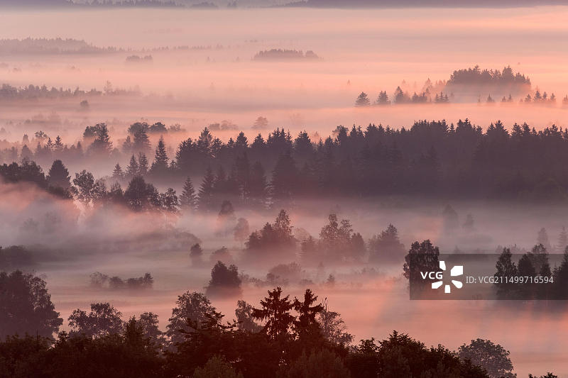 德国巴伐利亚科赫尔湖沼泽雾景图片素材