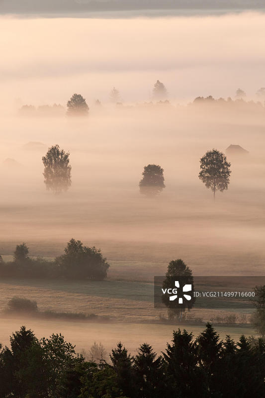 德国巴伐利亚科赫尔湖沼泽雾景图片素材
