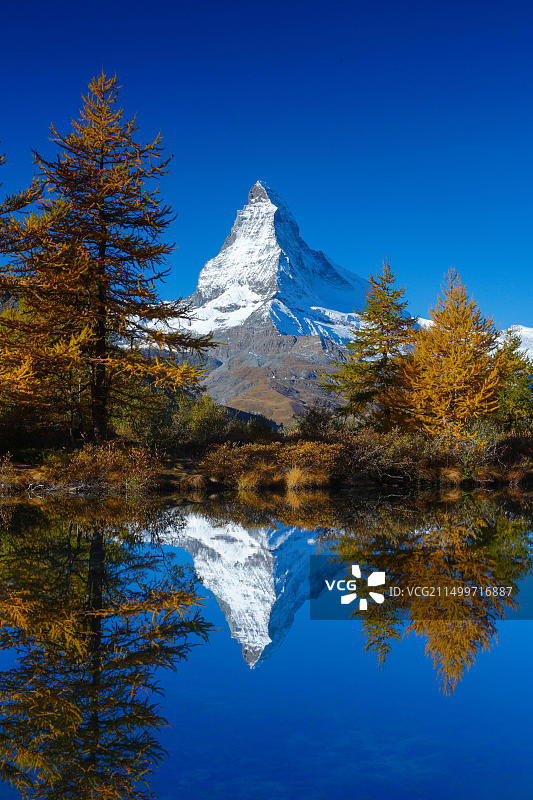 瑞士马特宏峰和Grindjisee湖图片素材
