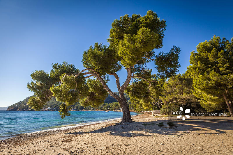 西班牙马略卡岛波连萨港和福门托海滩图片素材
